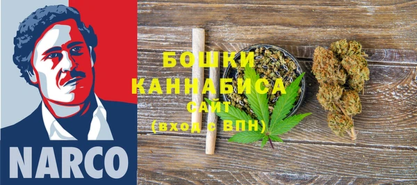 хмурый Дмитров