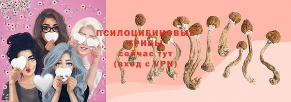 хмурый Дмитров