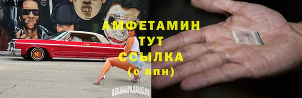 хмурый Дмитров