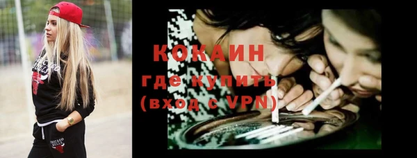 хмурый Дмитров