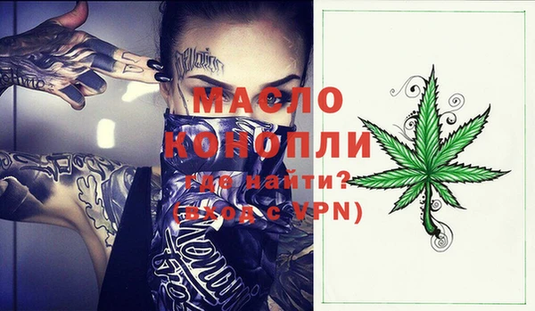 хмурый Дмитров