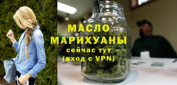 хмурый Дмитров