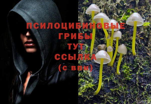 бутик Дмитриев