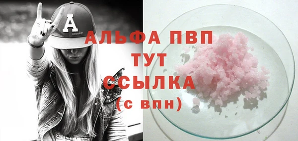 хмурый Дмитров