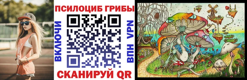 Псилоцибиновые грибы мицелий  Плавск 